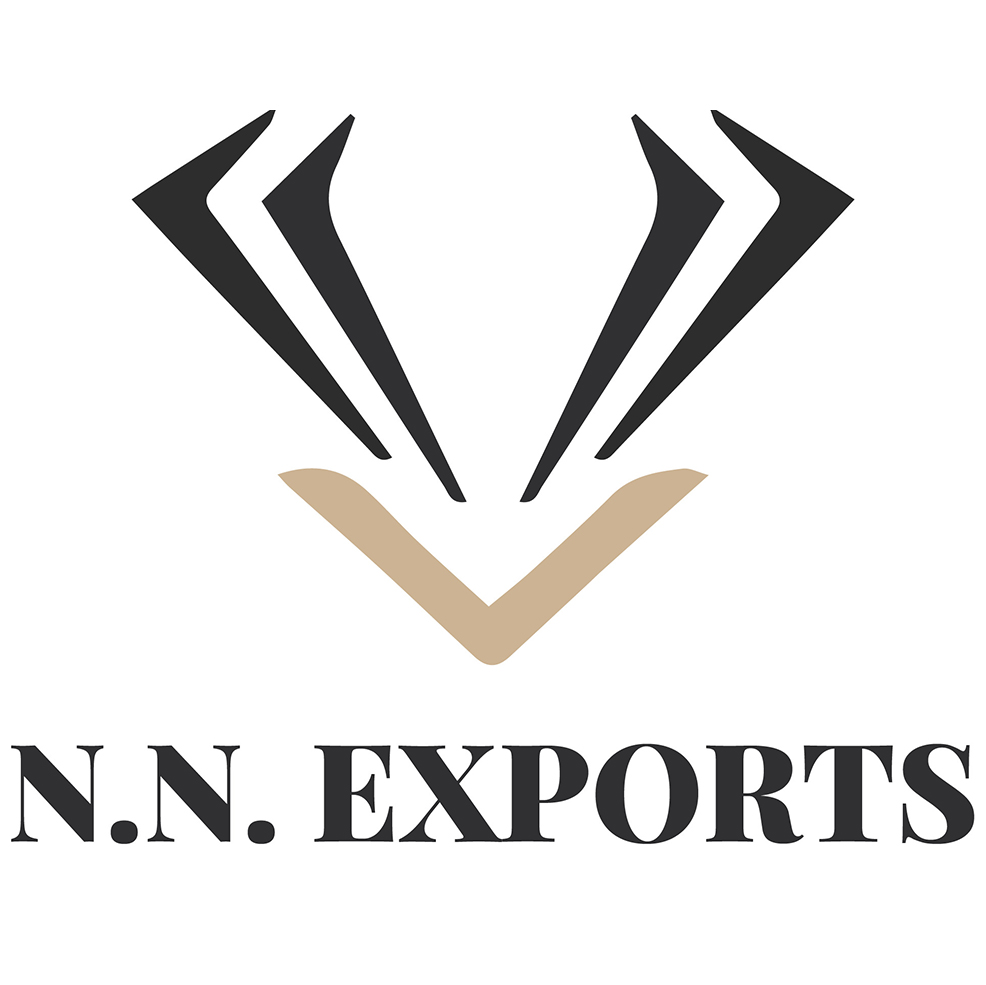 BNR Exim Private Limited logo