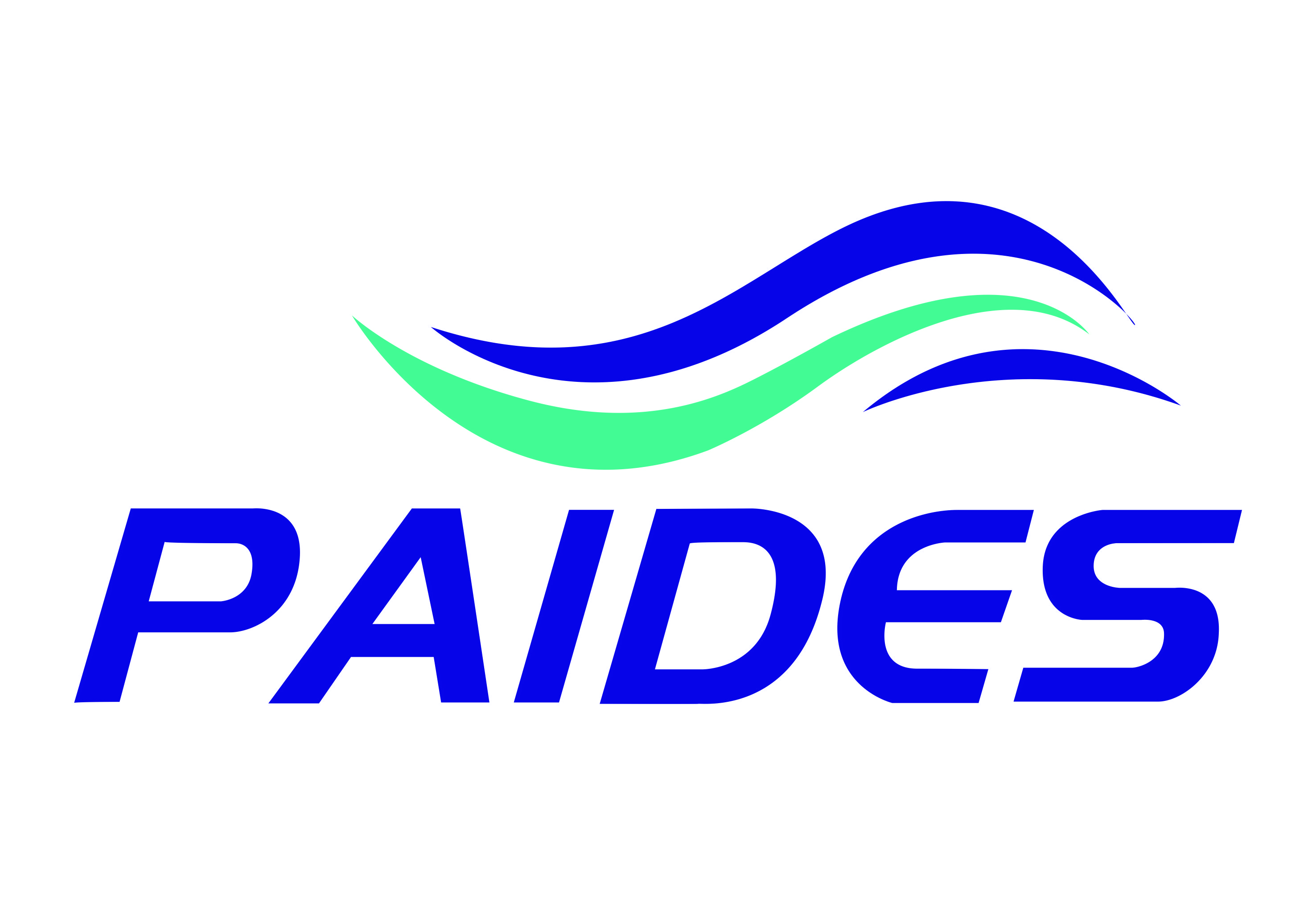 Dongguan Paides Technology Co., Ltd. logo
