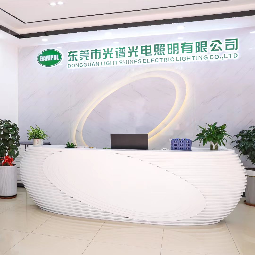 Dongguan Light Shines Electric Lighting Co., Ltd. logo