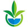 G And N Fortune Limited logo