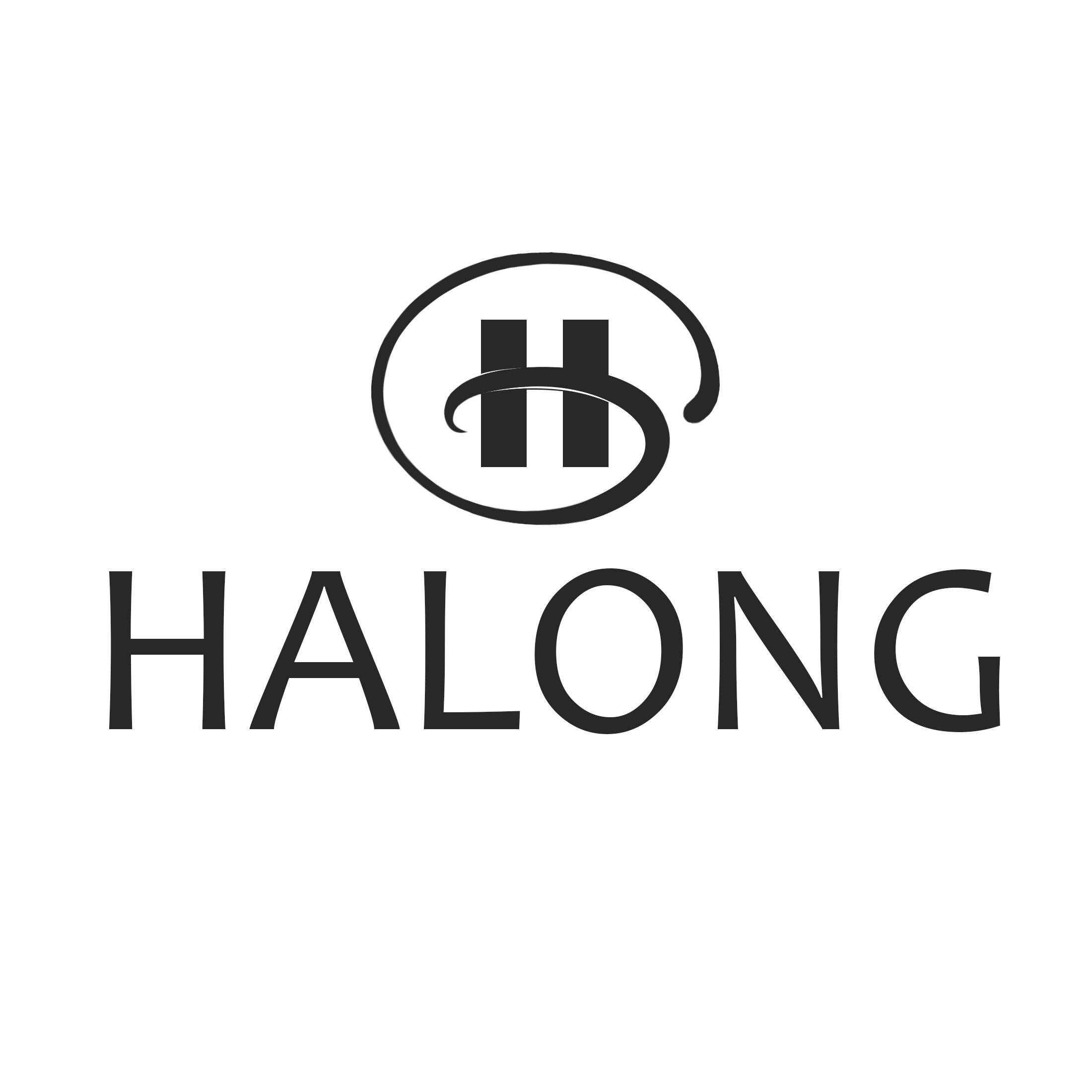 Haining Halong Industry Co., Ltd. logo